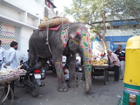 f:id:uchikoyoga:20180114200248j:image:w450