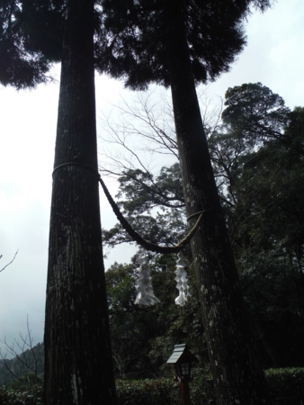 f:id:uchikoyoga:20180310195152j:image:h350:right