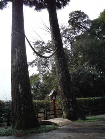 f:id:uchikoyoga:20180310195153j:image:h450