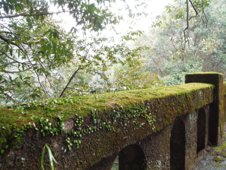 f:id:uchikoyoga:20180310201107j:image:w450