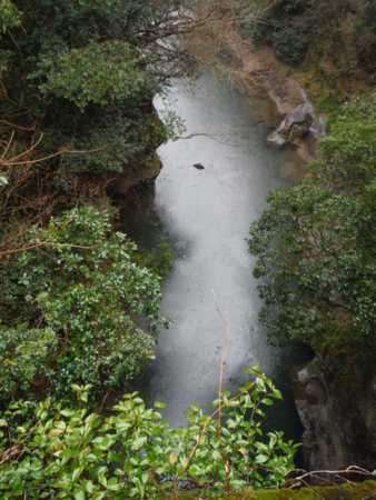 f:id:uchikoyoga:20180310201110j:image:h350:right