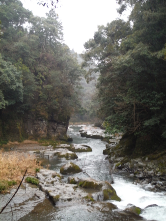 f:id:uchikoyoga:20180310201115j:image:h450