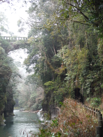 f:id:uchikoyoga:20180310201117j:image:h450