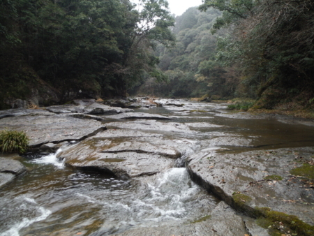 f:id:uchikoyoga:20180310201120j:image:w450