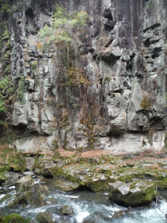 f:id:uchikoyoga:20180310201123j:image:h450