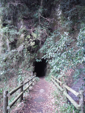 f:id:uchikoyoga:20180310201125j:image:h450