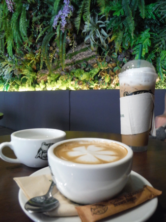 f:id:uchikoyoga:20180512142403j:image:h450