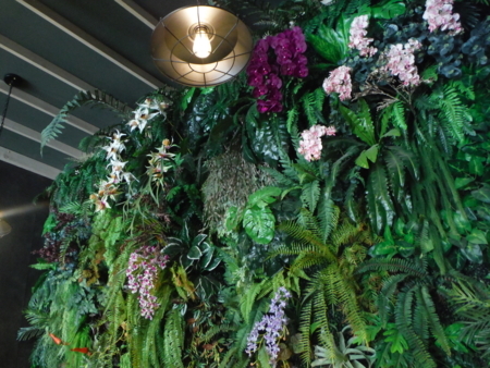 f:id:uchikoyoga:20180512142404j:image:w450