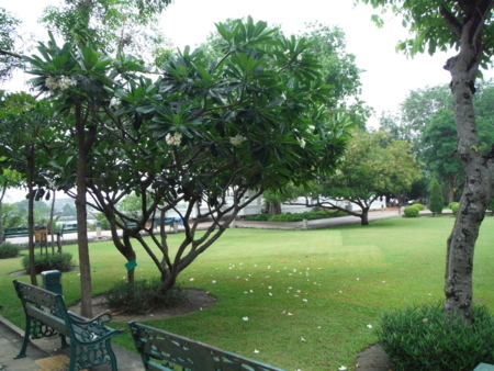 f:id:uchikoyoga:20180512221501j:image:w450