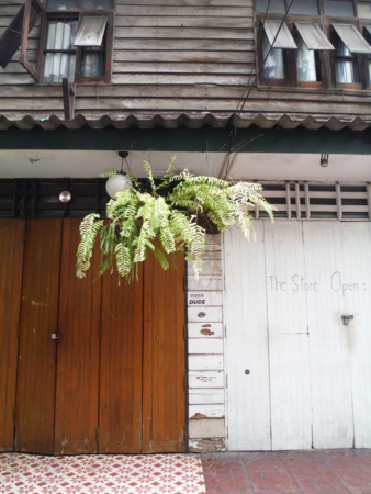 f:id:uchikoyoga:20180512221502j:image:h450