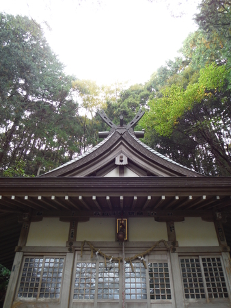 f:id:uchikoyoga:20181108211921j:plain f:id:uchikoyoga:20181108211921j:plain