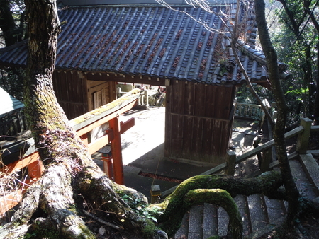 f:id:uchikoyoga:20181220225532j:plain f:id:uchikoyoga:20181220225532j:plain