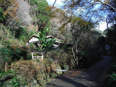 f:id:uchikoyoga:20181221220900j:plain f:id:uchikoyoga:20181221220900j:plain