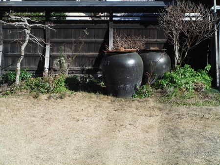 f:id:uchikoyoga:20190104131047j:plain