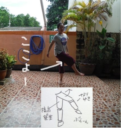 f:id:uchikoyoga:20190113200811j:plain f:id:uchikoyoga:20190113200811j:plain