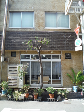 f:id:uchikoyoga:20190304234048j:plain f:id:uchikoyoga:20190304234048j:plain