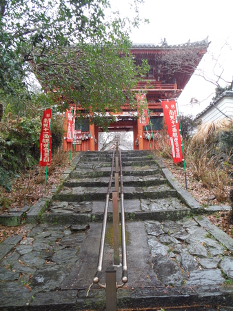 f:id:uchikoyoga:20190306224646j:plain f:id:uchikoyoga:20190306224646j:plain