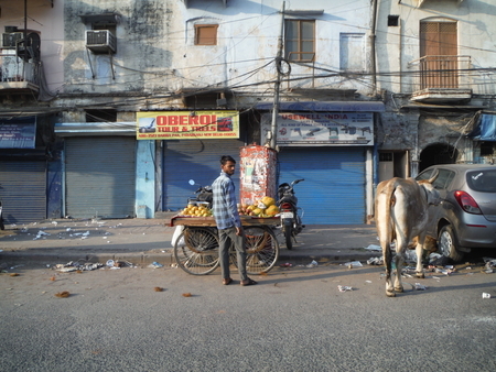 f:id:uchikoyoga:20190510140716j:plain