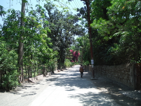 f:id:uchikoyoga:20190512170454j:plain