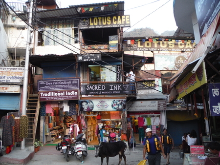 f:id:uchikoyoga:20190512171615j:plain f:id:uchikoyoga:20190512171615j:plain