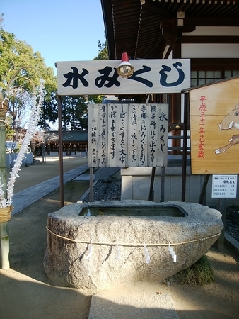 f:id:uchikoyoga:20191213215739j:plain