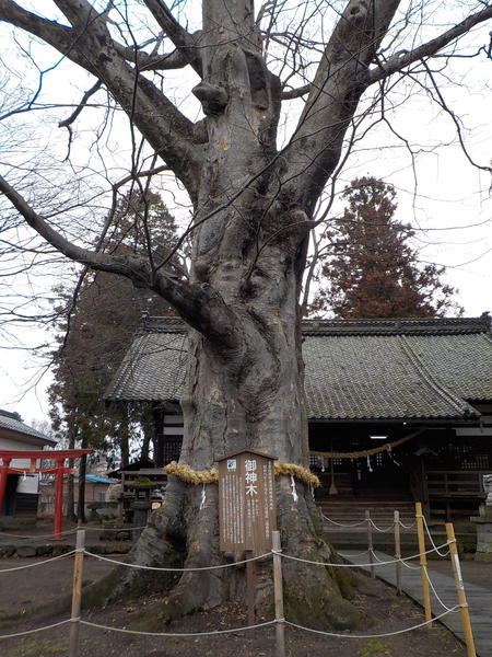 f:id:uchikoyoga:20200226095855j:plain f:id:uchikoyoga:20200226095855j:plain