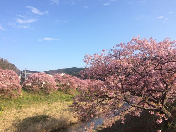 f:id:uchikoyoga:20200301075813j:plain f:id:uchikoyoga:20200301075813j:plain