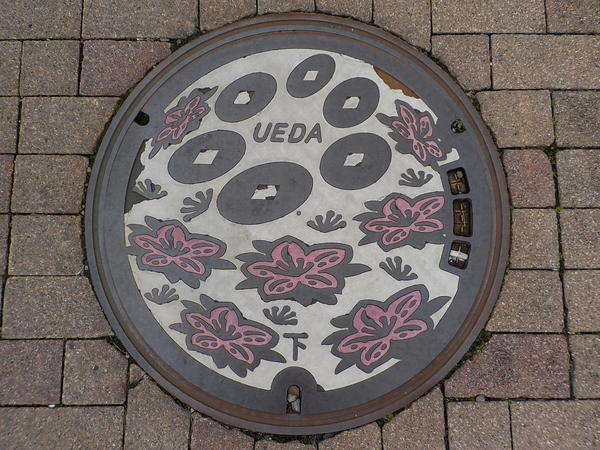 f:id:uchikoyoga:20200320222453j:plain