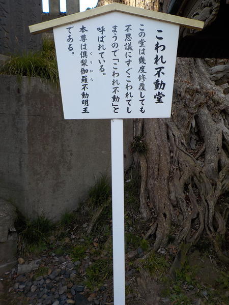 f:id:uchikoyoga:20200417090922j:plain f:id:uchikoyoga:20200417090922j:plain