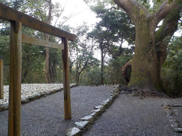 f:id:uchikoyoga:20200417101454j:plain