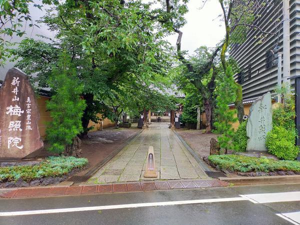 f:id:uchikoyoga:20200621201718j:plain