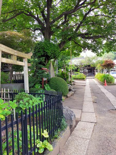 f:id:uchikoyoga:20200627234134j:plain f:id:uchikoyoga:20200627234134j:plain