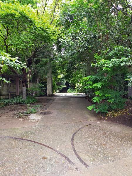 f:id:uchikoyoga:20200713170018j:plain f:id:uchikoyoga:20200713170018j:plain
