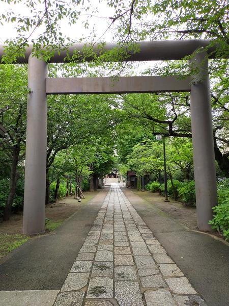 f:id:uchikoyoga:20200713170456j:plain f:id:uchikoyoga:20200713170456j:plain