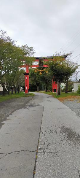 f:id:uchikoyoga:20201023110154j:plain f:id:uchikoyoga:20201023110154j:plain