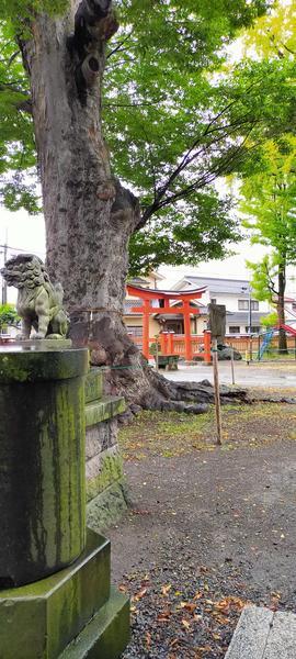f:id:uchikoyoga:20201023114145j:plain f:id:uchikoyoga:20201023114145j:plain