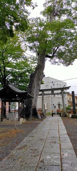 f:id:uchikoyoga:20201023114155j:plain f:id:uchikoyoga:20201023114155j:plain