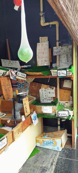 f:id:uchikoyoga:20201023114317j:plain f:id:uchikoyoga:20201023114317j:plain