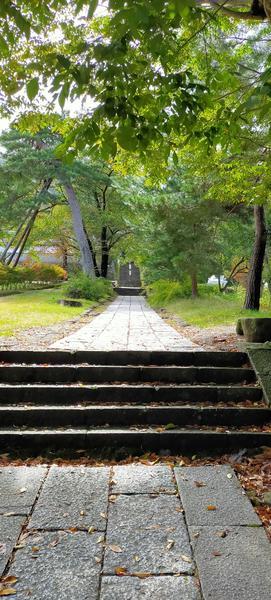 f:id:uchikoyoga:20201023114857j:plain f:id:uchikoyoga:20201023114857j:plain