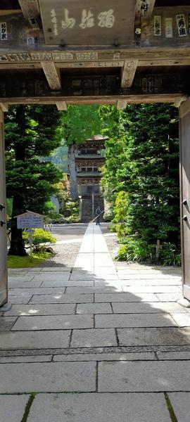 f:id:uchikoyoga:20201023114934j:plain f:id:uchikoyoga:20201023114934j:plain