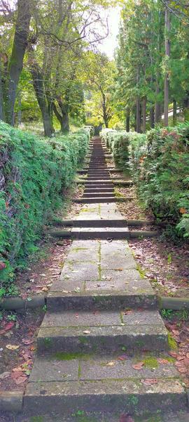f:id:uchikoyoga:20201023123639j:plain f:id:uchikoyoga:20201023123639j:plain
