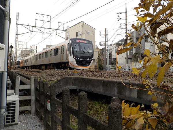 f:id:uchikoyoga:20210110162017j:plain