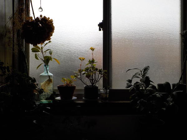 f:id:uchikoyoga:20210323092131j:plain