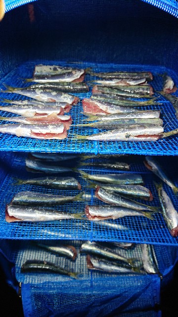 f:id:uchinokolabo:20240103075200j:image f:id:uchinokolabo:20240103075200j:image