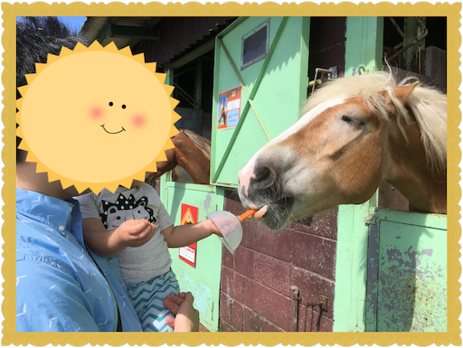マザー牧場 羊と馬にエサやり ハンドガードがあれば噛まれず安心 うちのおすすめ 子育て情報館