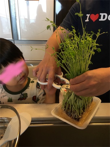 f:id:uchinokosodate:20181005103552j:image