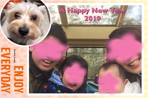 f:id:uchinokosodate:20181223055113j:image