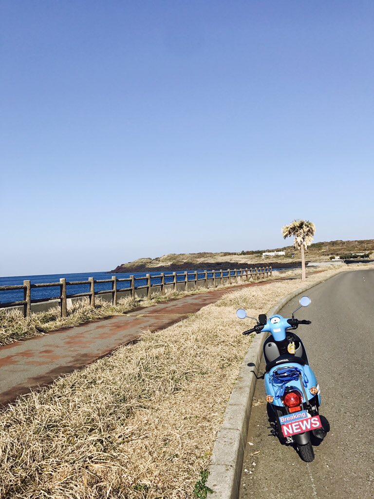 f:id:uchisobako:20191010215641j:plain f:id:uchisobako:20191010215641j:plain