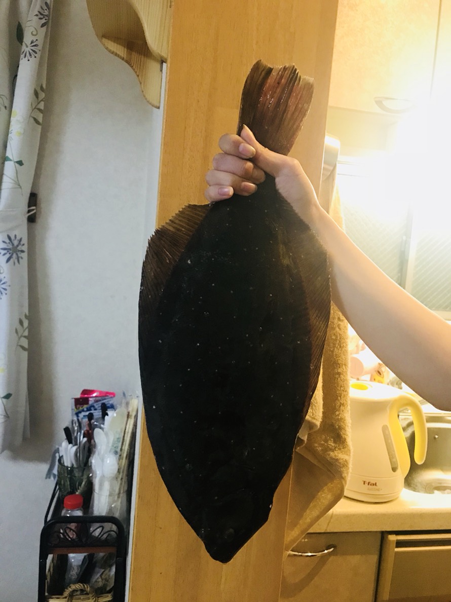 f:id:uchisobako:20191010224519j:plain f:id:uchisobako:20191010224519j:plain
