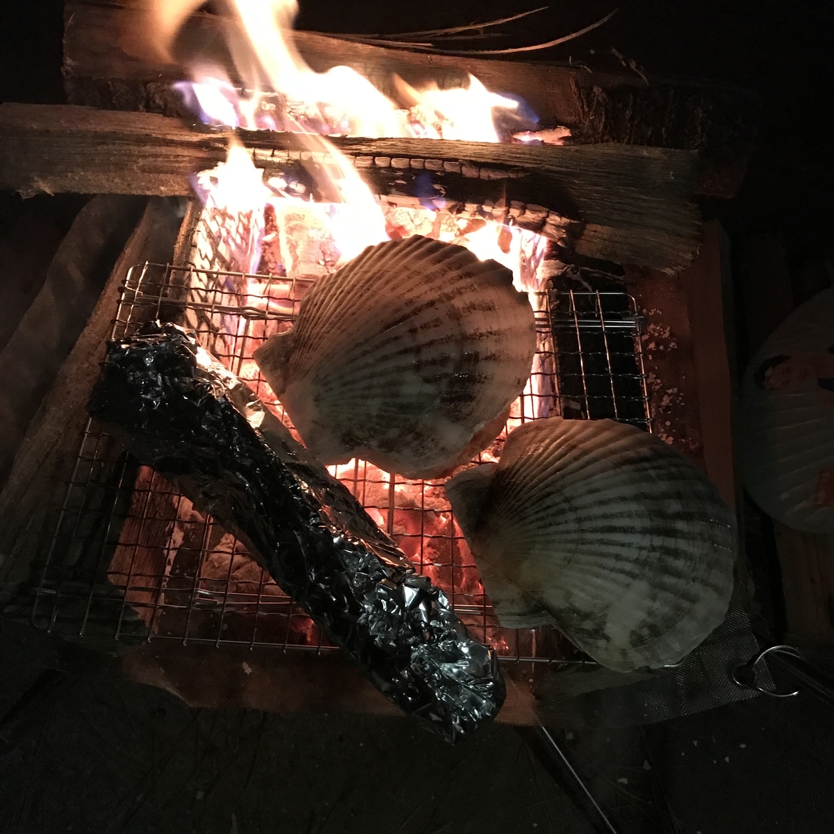時速30キロとことこの旅 時速30キロとことこの旅